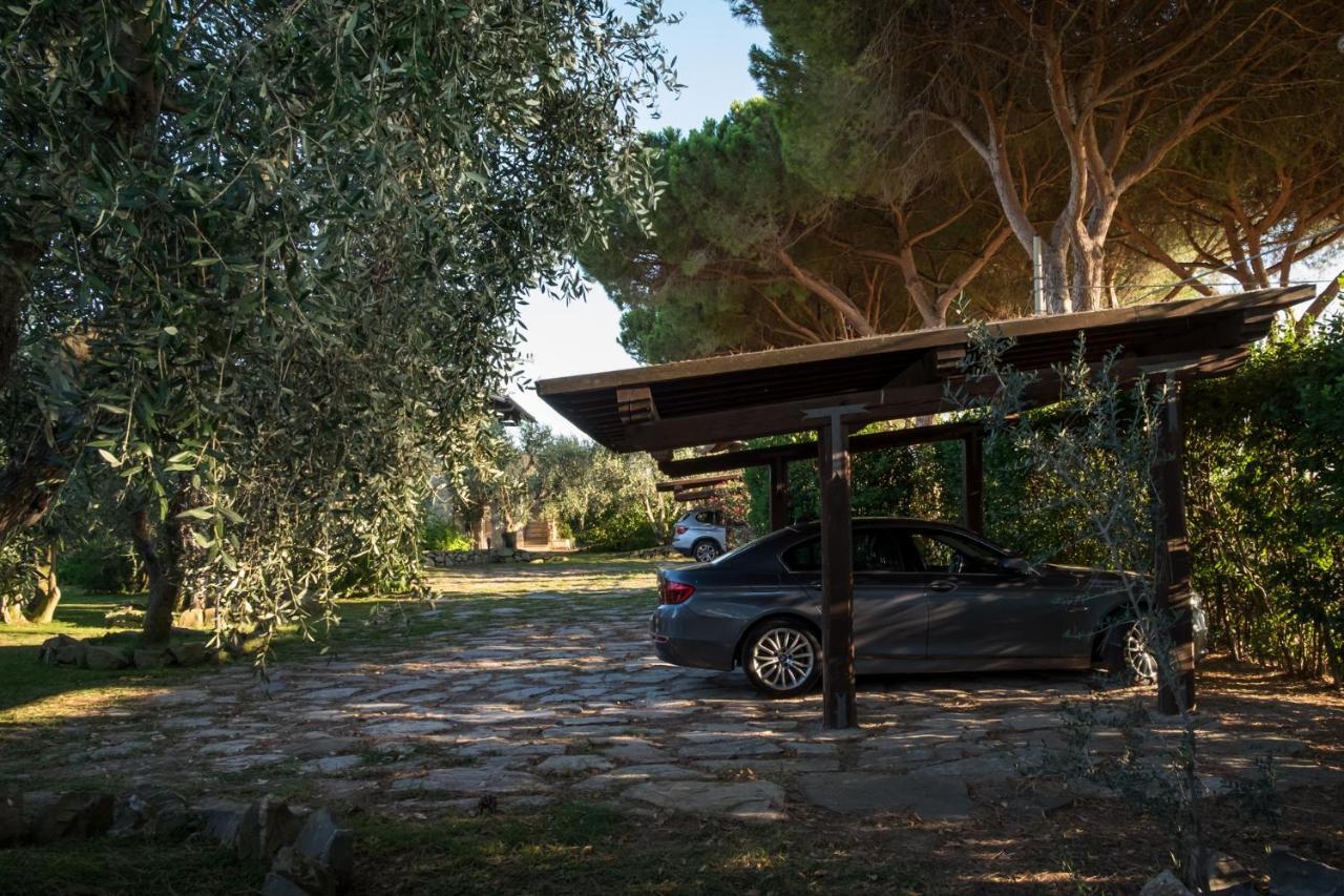 Villa degli Ulivi Capalbio Esterno foto